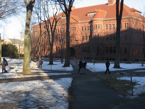 Harvard yard 1 tomoko 092