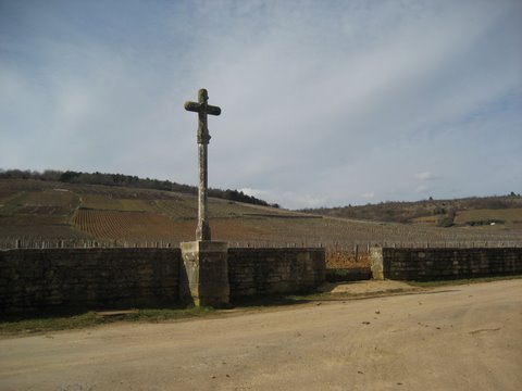 March2010 Burgundy 010 March2010 Burgundy 010